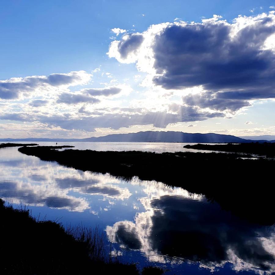 La Finestra Del Delta ξενώνας L'Ampolla Εξωτερικό φωτογραφία