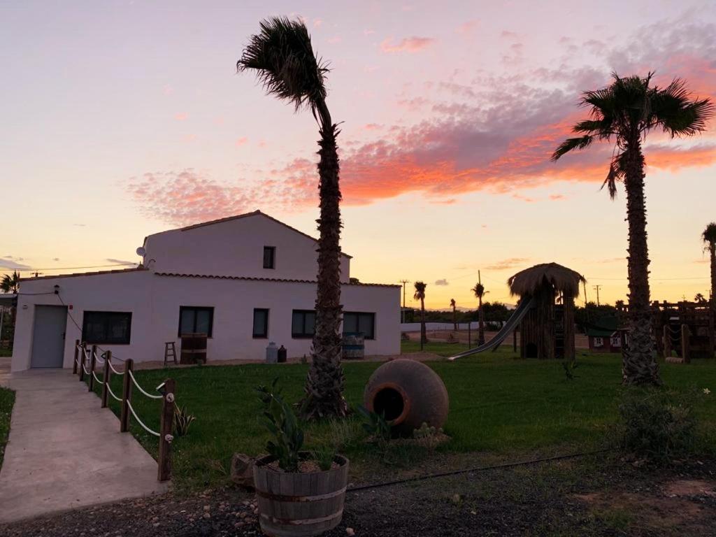 La Finestra Del Delta ξενώνας L'Ampolla Εξωτερικό φωτογραφία